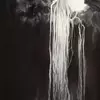 Корни