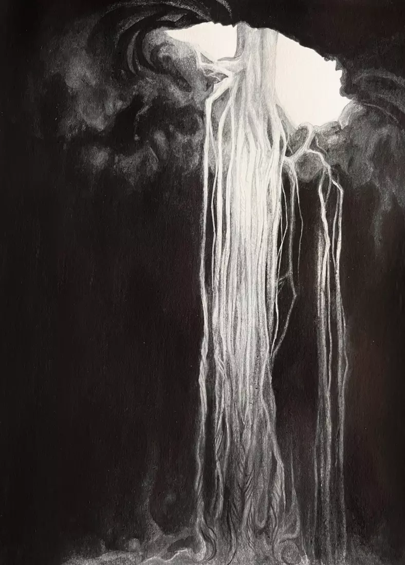 Корни