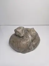 Хорьки спят