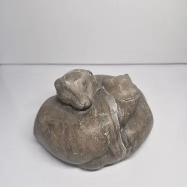 Хорьки спят