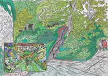 -Дорога мимо лесной жабы