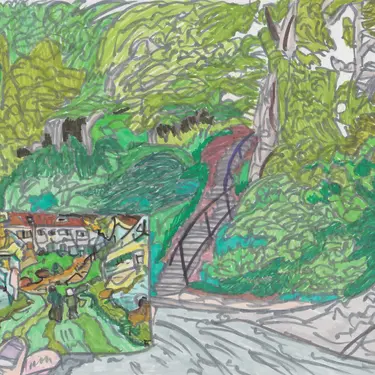 -Дорога мимо лесной жабы