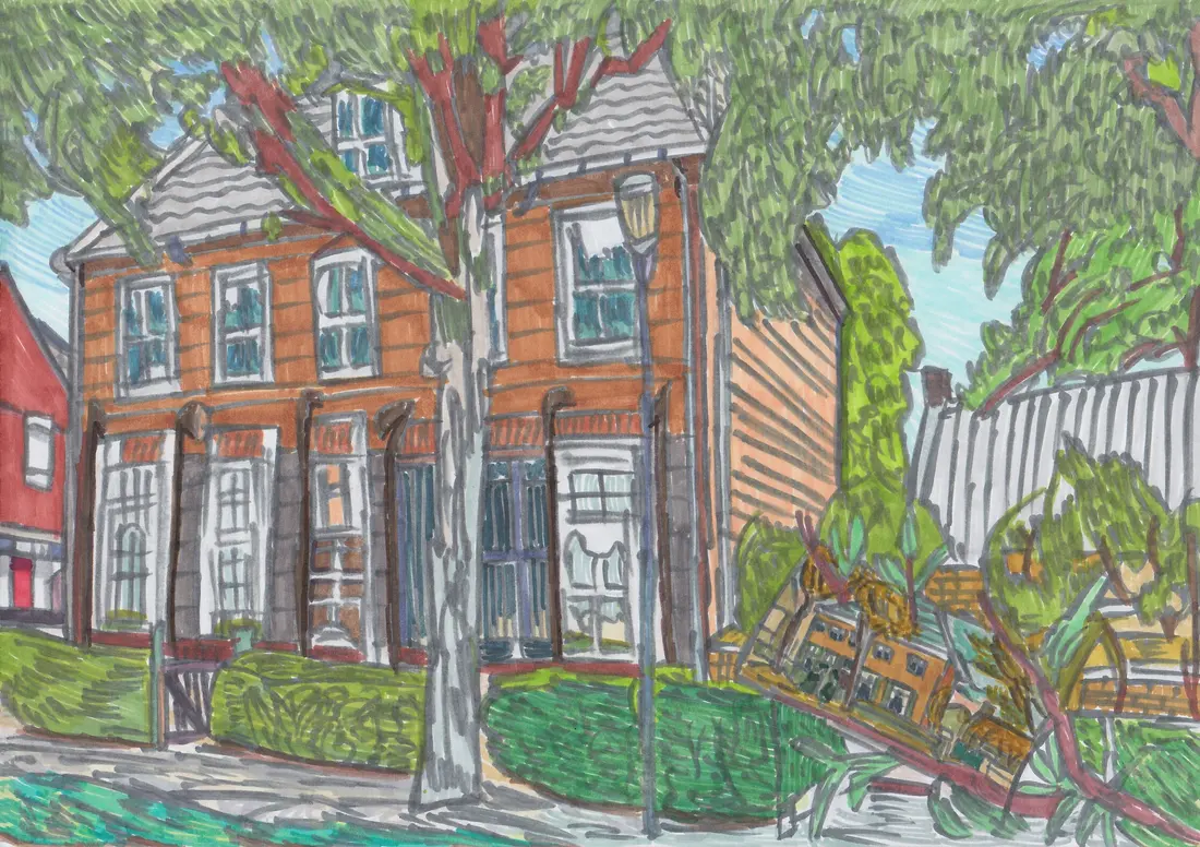 -Дом тонкой мыши